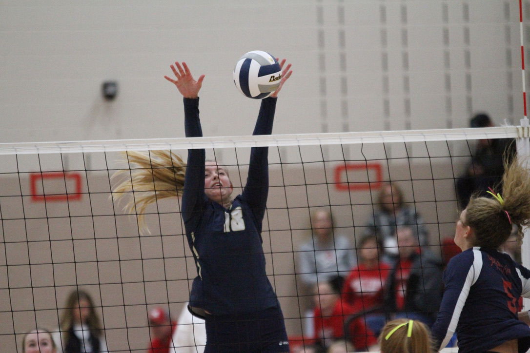York vs. Platteview volleyball 8.jpeg